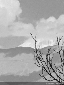 Damavand 1404 javad mozaffar 41