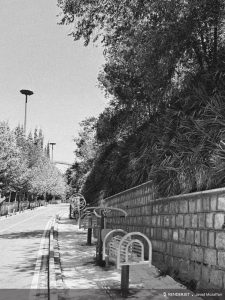 Tehran 1403 javad mozaffar 21 (2)