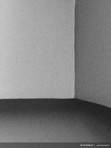 Homev tehran javad mozaffari 03